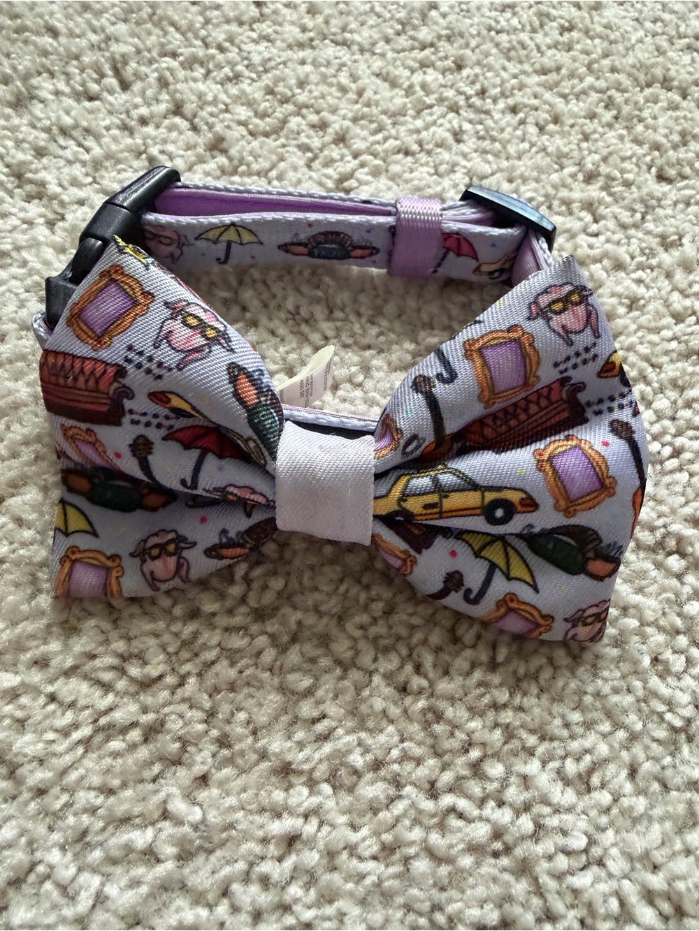 Sassy Woof Harness Leash Bundle - Picture 14 of 16